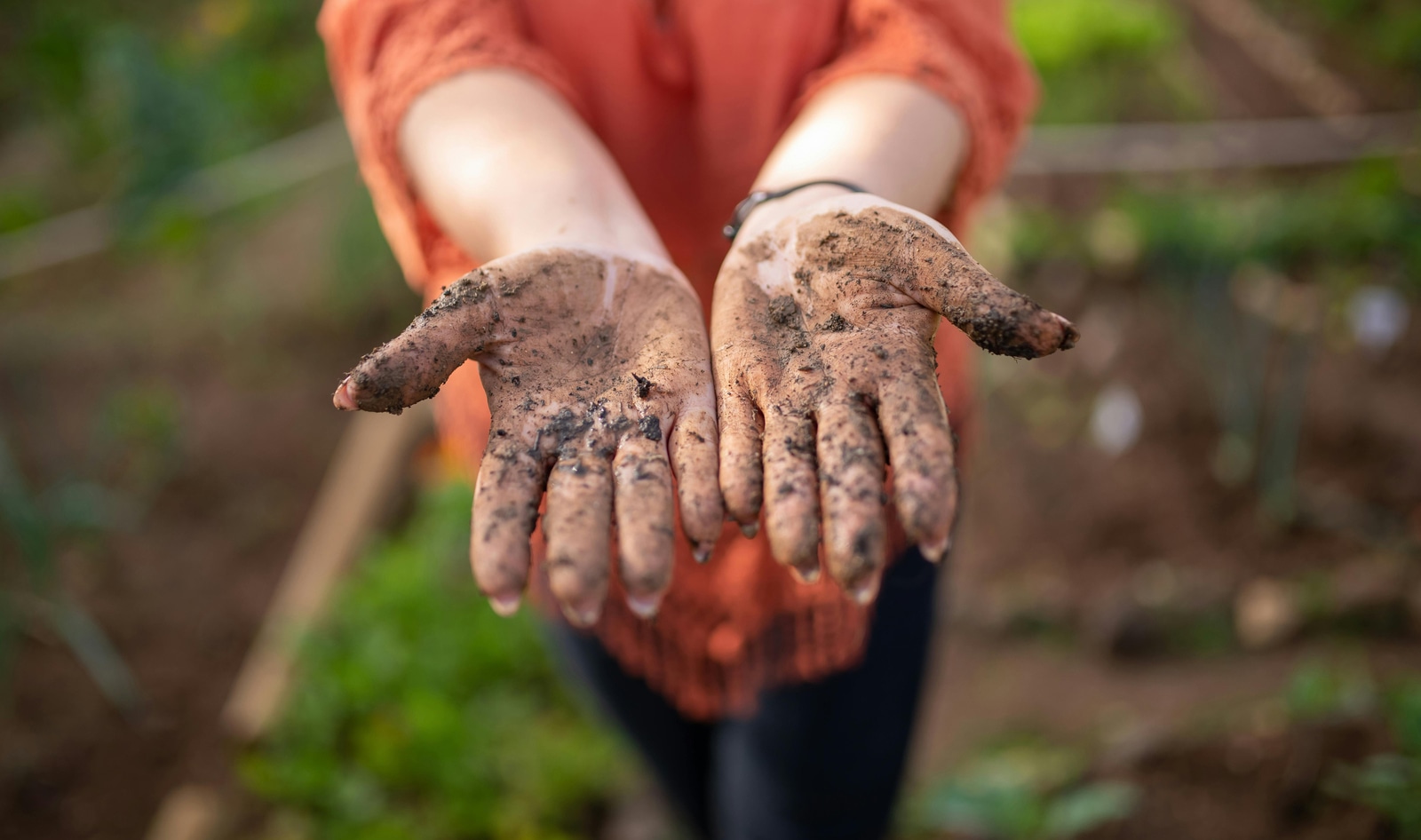 TikTokers Are Eating Dirt. Should You?