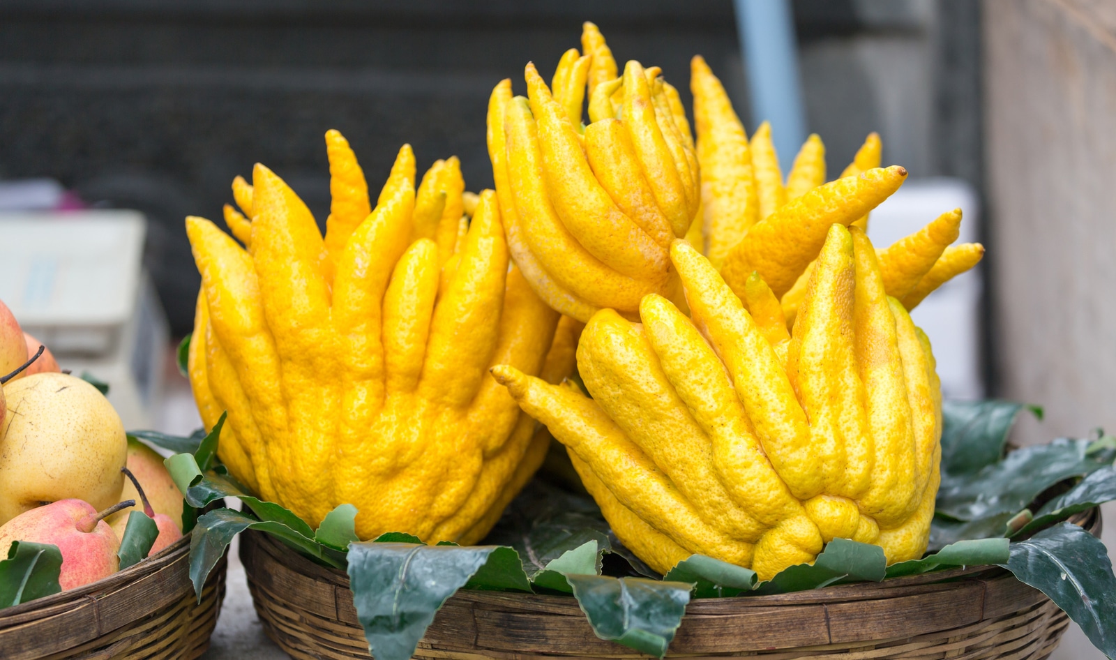 How Alain Duccasse and Martha Stewart Use Buddha's Hand, the Fingered Citron