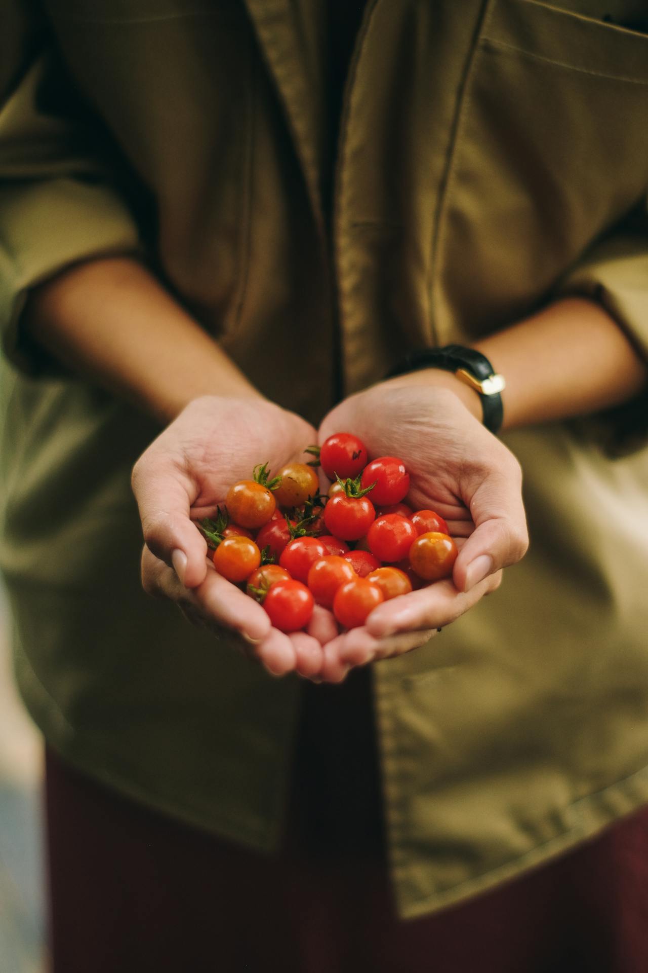 person holding cherry tomatoes