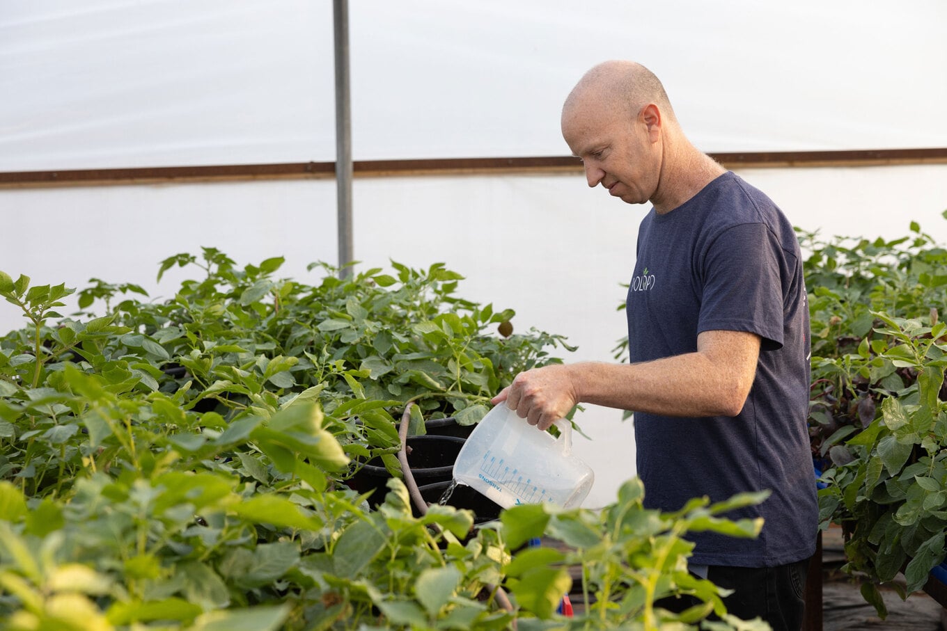 Watering-Potatoes