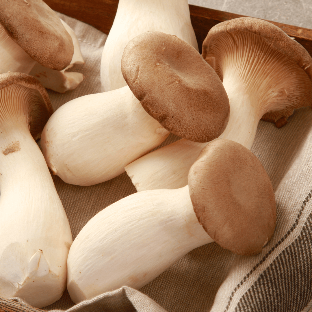 VegNews.KingOysterMushrooms.Canva