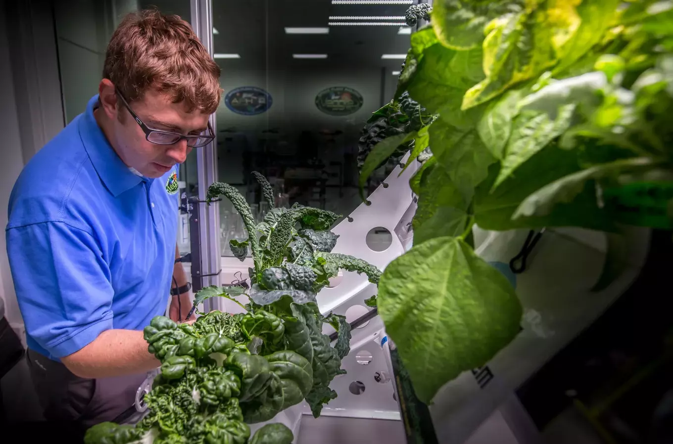 nasa growing lettuce